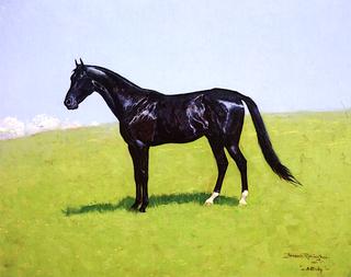 'Bellini' - A Study