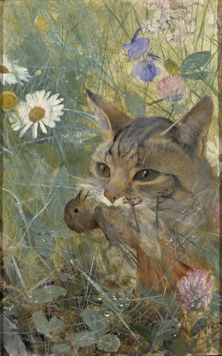 嘴里叼着小鸟的猫