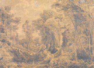 Wooded Landscape