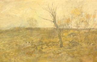 Edge of a Clearing