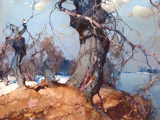 Winter Landscape
