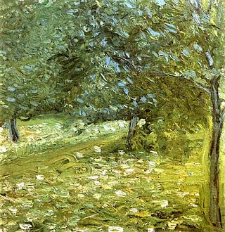 Orchard
