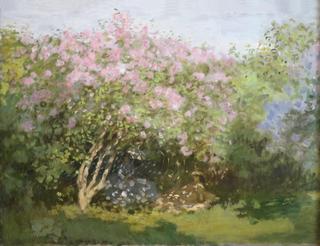 Lilacs in the Sun