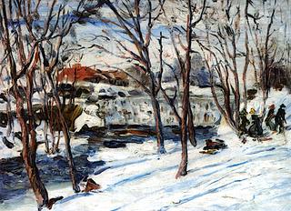 Winter along the Bronx River