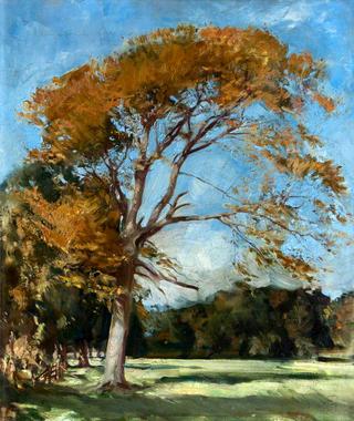 The Yellow Tree