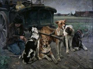 Flemish Dogs