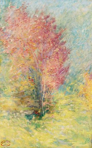 The Red Maple