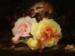 Throw of Roses