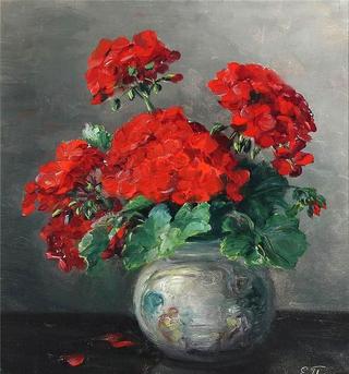 Geranium
