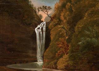 Eionon Garn on the Perddyn or Ysgwd or Scwd Fall, Neath Valley