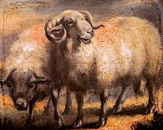 Sheep