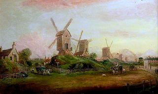 Windmills on the Forest