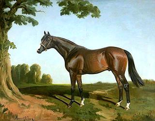'Royal Lancer', Winner of 1922 St Leger Stakes