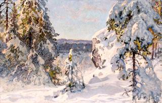 Forest in Winter