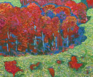 Autumn Forest