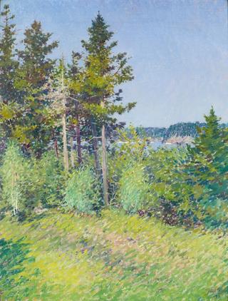 Glimpse of Otter Cliffs