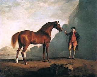A Stallion Called 'Romulus', in the Possession of the Rt. Hon. Lord Viscount Spencer