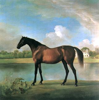 A Bay Mare Belonging to Lord Bolingbroke, with Lydiard Hall and Church in the Background