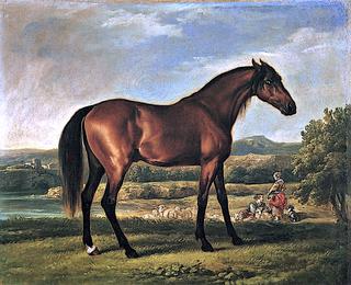 Lord Bolingbroke's Young Bay Colt, Later Identified as 'Hollyhock'