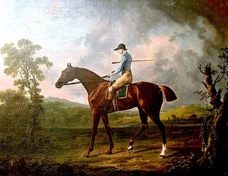 'Antinoüs', a Horse Belonging to His Grace the Duke of Grafton