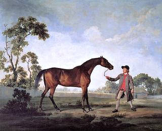 The Duke of Ancaster's Bay Stallion 'Spectator', Held by a Groom