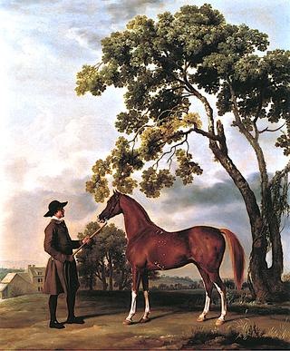 Lord Grosvenor's Arabian with a Groom