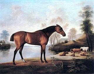 Mrs. Ogilvie's Bay Racehorse on a Riverbank, with a Group of Cows in the Middle Distance