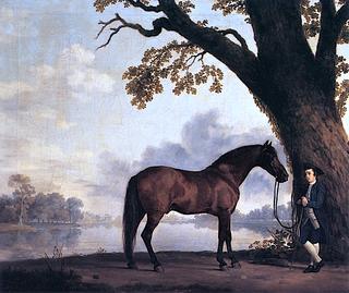 John Warde of Squerryes Court with an Imported Bay Stallion