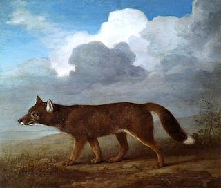 Portrait of a Large Dog