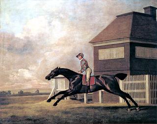'Trentham, the Property of Charles Ogilvy, Racing at Newmarket