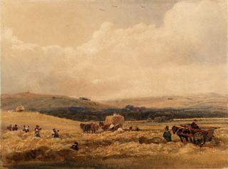 A Hayfield in Yorkshire