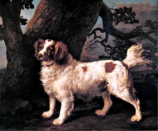 Charles Pelham-Anderson's Lemon and White Water Spaniel