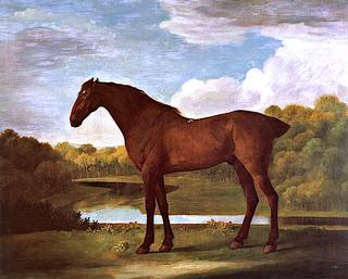 一匹栗色赛马，也许叫“波兰多”，由格罗夫纳勋爵设计