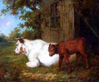Cow and Calf
