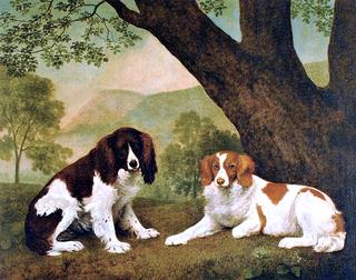 'Jock' and 'Shoot', Two Spaniels Belonging to Earl Fitzwilliam