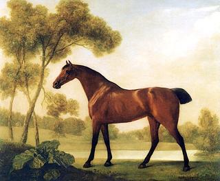 'Ballerina', a Bay Mare Belonging to the 2nd Earl of Clarendon