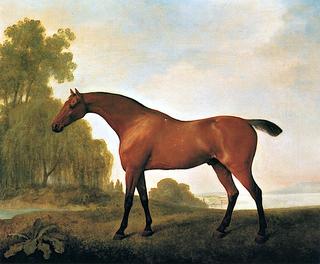 A Bay Horse on a Grassy Bank, near Willows and Water