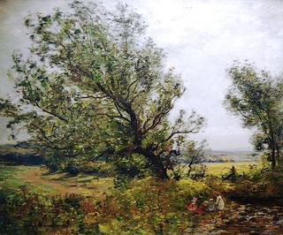 The Old Poplar