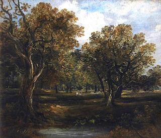 Rural Scene