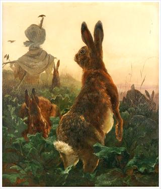 Rabbits in a Cabbage Field