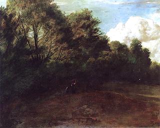 At the Edge of the Forest