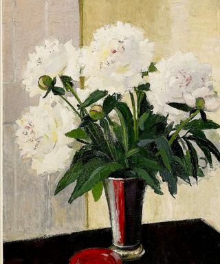 Peonies