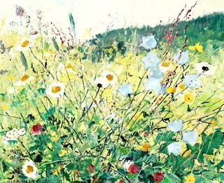 Meadow Flowers