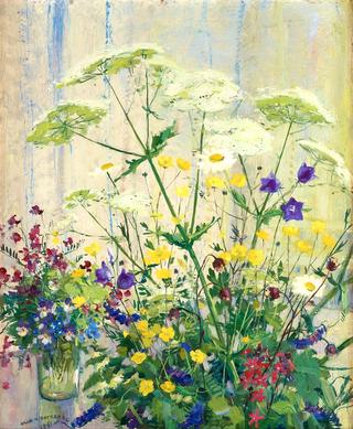 Meadow Flowers