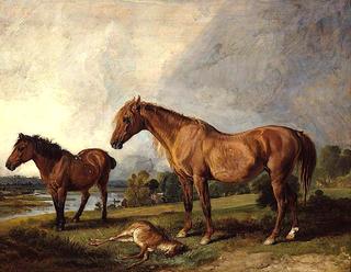 黑荆棘的肖像，一匹母马，和老杰克，一匹最喜欢的小马，E.Mundy的财产，Esq