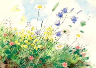 Meadow Flowers