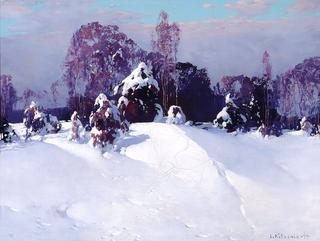 Snow atop the trees