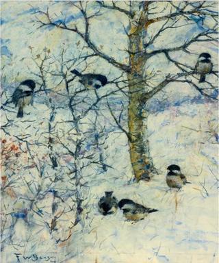 Birds in Winter