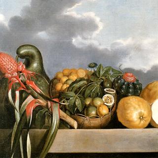 Calabash, citrus and a cactus