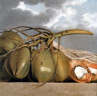 Coconuts